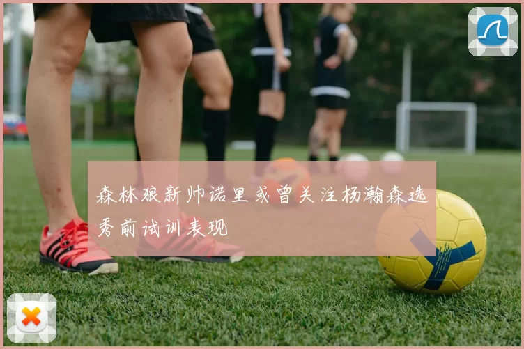 森林狼新帅诺里或曾关注杨瀚森选秀前试训表现