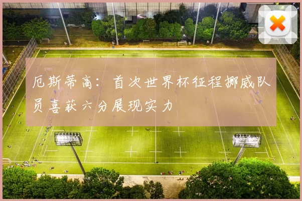 厄斯蒂高：首次世界杯征程挪威队员喜获六分展现实力